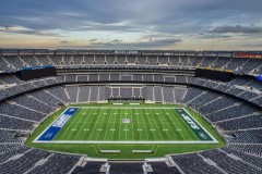 2026年世界杯决赛场地安排 设在大都会人寿体育场