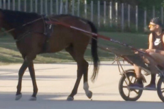 MVP约基奇g4被驱逐季后赛结束 休假期约基奇回家骑马