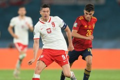 波兰vs瑞典哪个队厉害 瑞典波兰足球世界排名第几