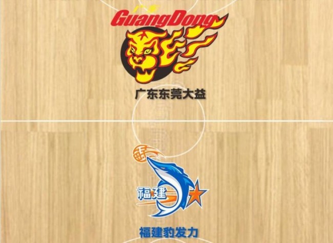 广东东莞大益vs福建豹发力