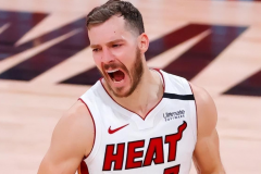 德拉季奇退役了吗？附戈兰德拉季奇个人资料及简介