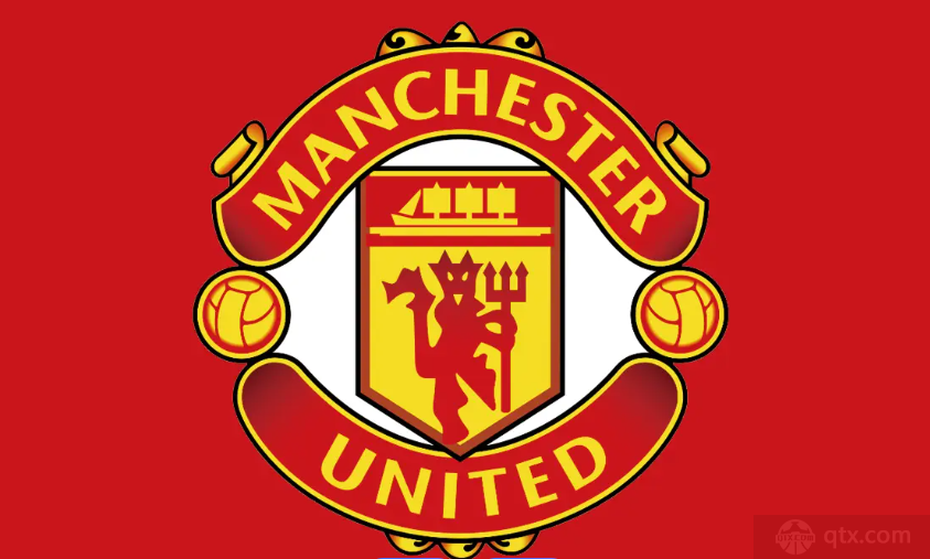 曝曼联希望带回麦克托米奈