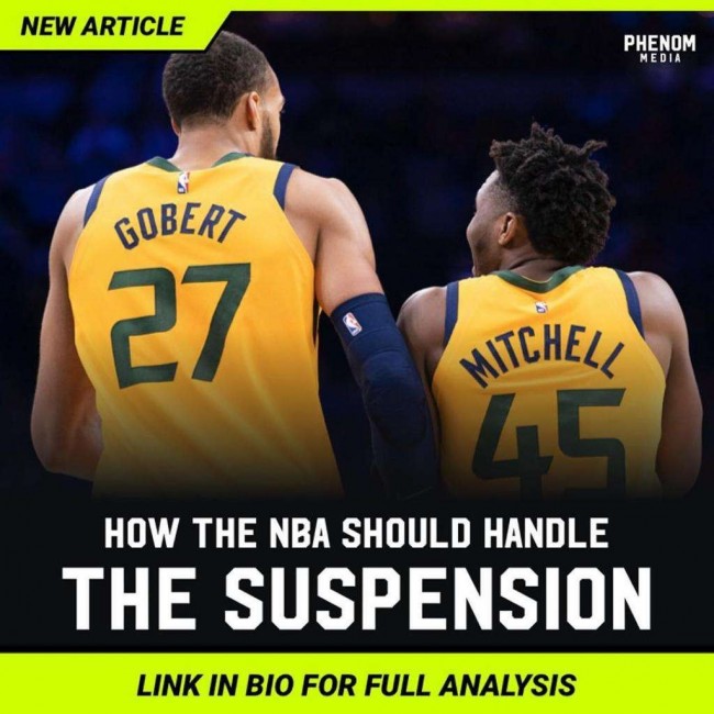 米切尔和戈贝尔