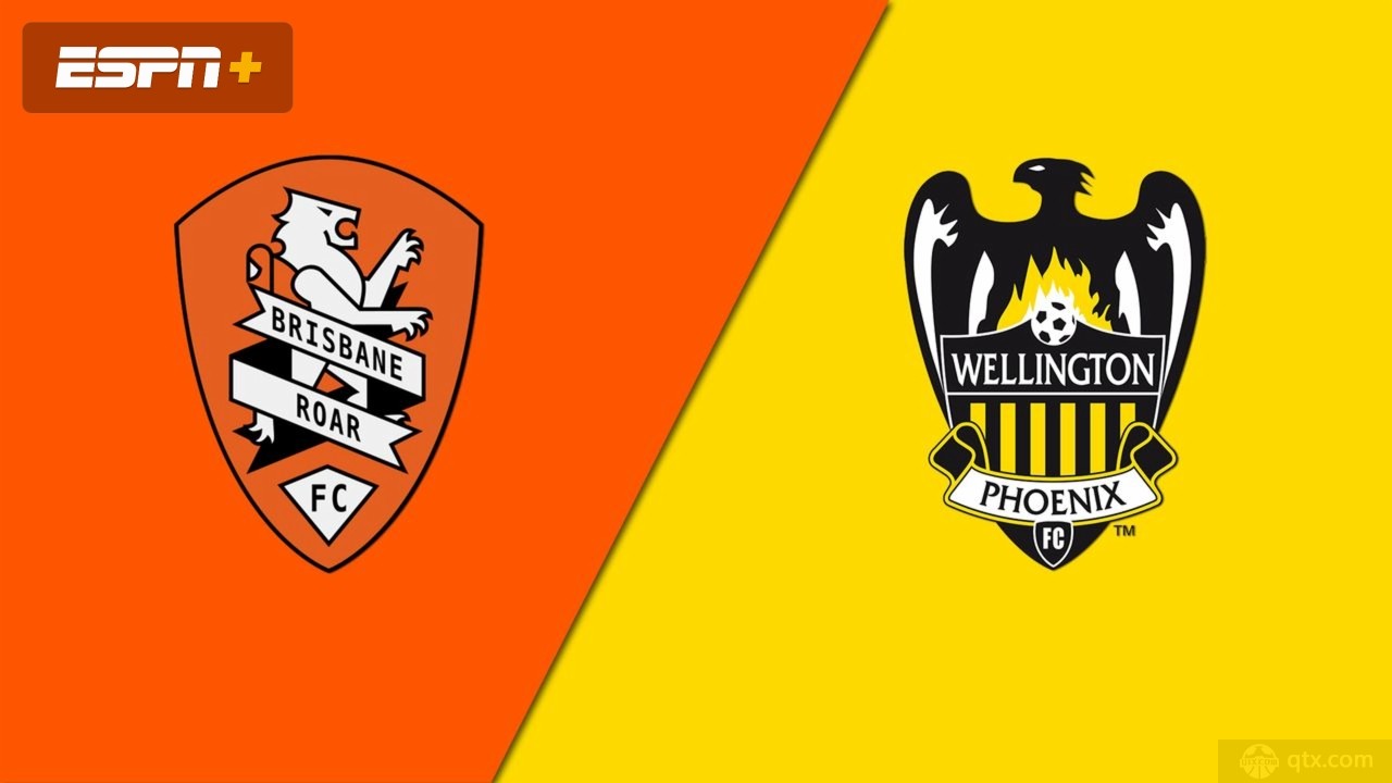 布里斯班狮吼VS惠灵顿凤凰