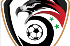 叙利亚足协主席辞职 网友：看看人家这觉悟
