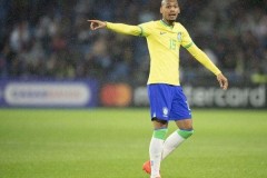 法比尼奥是哪个国家的？法比尼奥巴西国家队几号