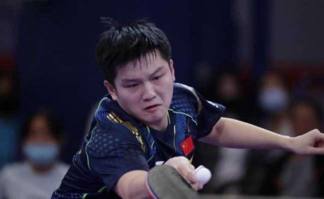 世乒赛国乒男单选手樊振东