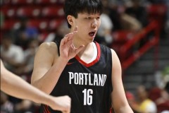 杨瀚森夏联比赛观看人数 单场人次超弗拉格首秀