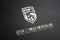 武汉三镇官宣3名球员离队 包括外援图多列