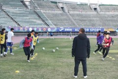 扬州队回应买下职业梯队踢“苏超” 否认接触山东泰山梯队