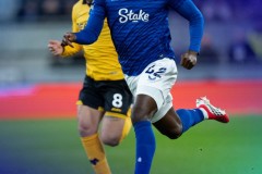 英超埃弗顿1-1狼队 埃弗顿两人被罚下