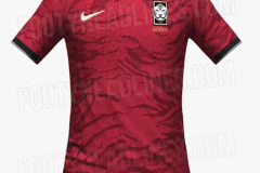 韩国队2026世界杯球衣曝光 融入虎皮纹理