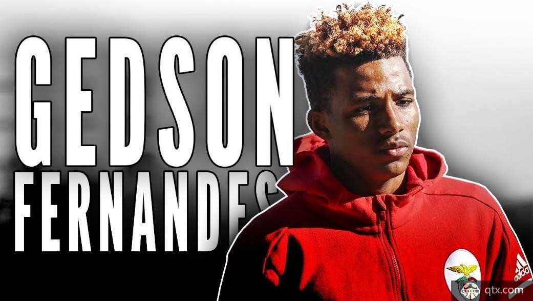 热德森-费尔南德斯