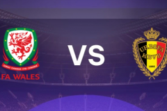 世预赛威尔士vs比利时预测分析 双方在积分榜榜上非常接近