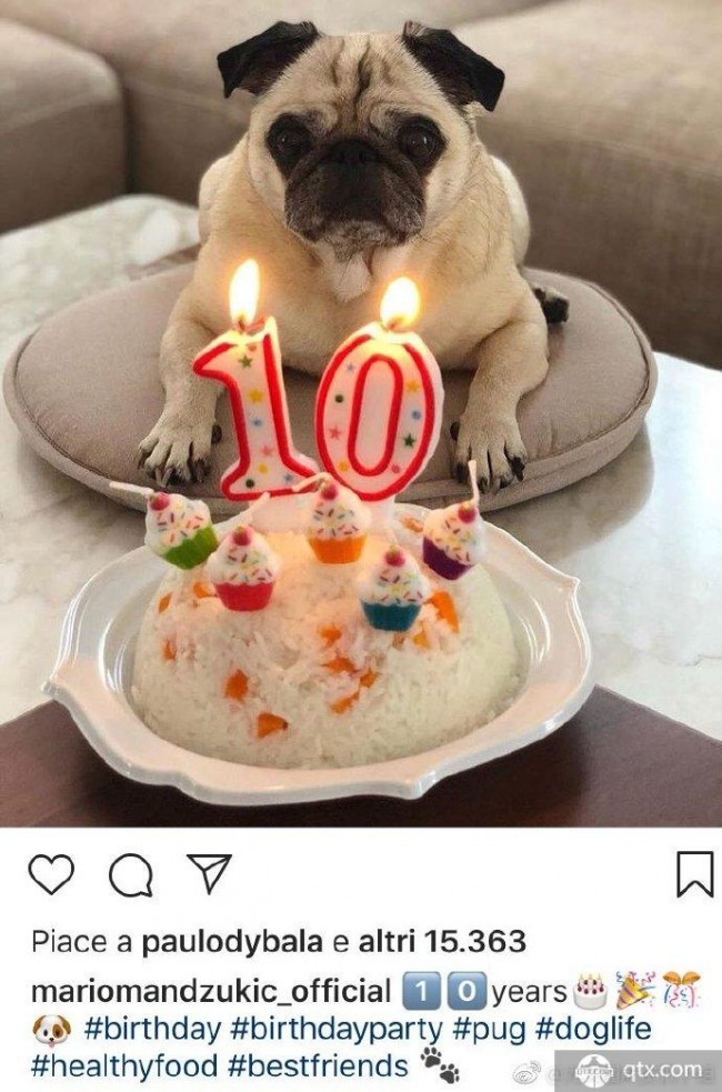 曼朱与贝纳蒂亚的日常调戏 有爱互动